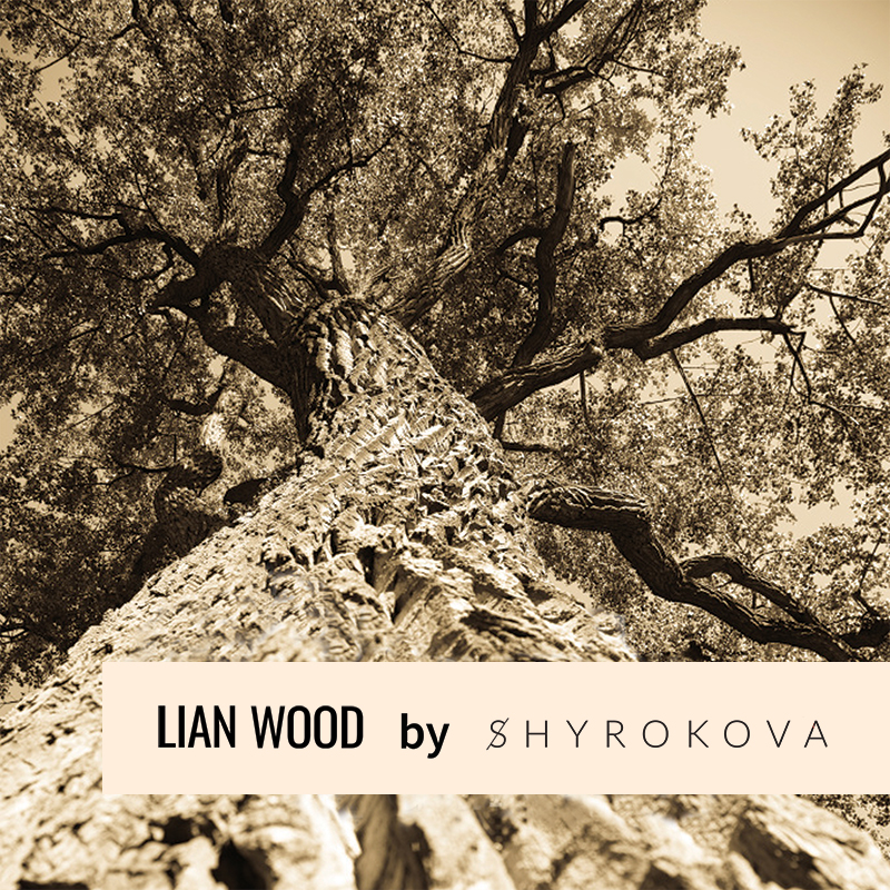 Lian Wood by Shyrokova