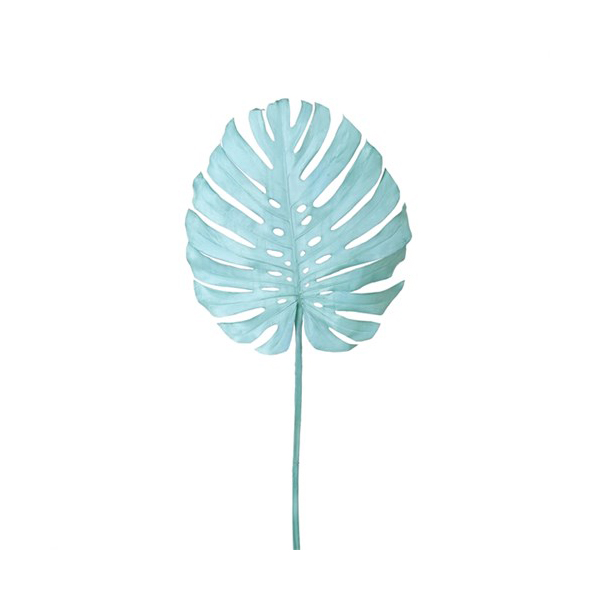 Monstera leaf light blue