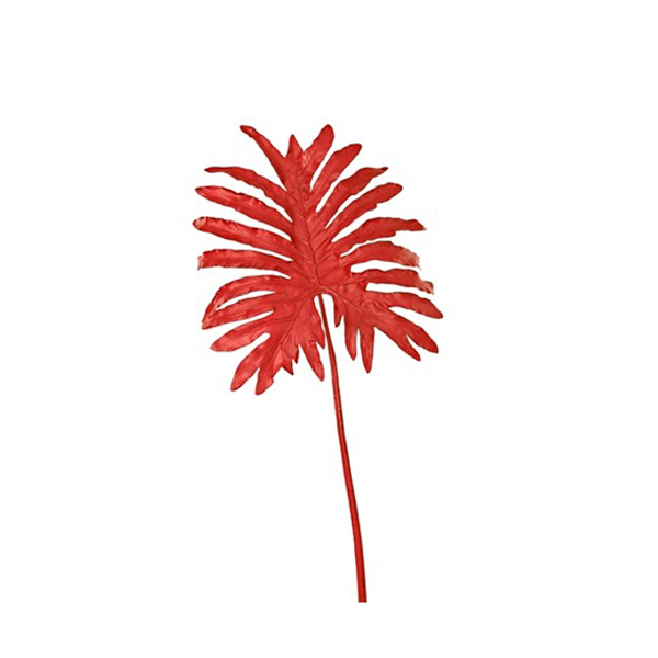 Selloum leaf red